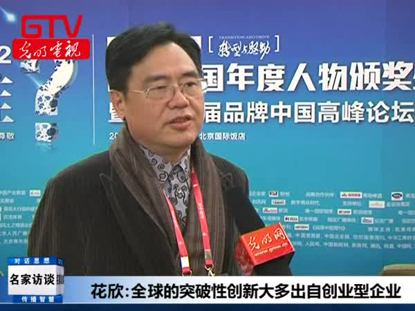 花欣：中国IT企业解决瓶颈应机制创新