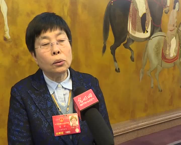 陈舒代表：我国应加快融资租赁法立法