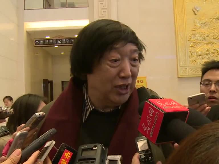 冯骥才委员：传统文化应根据现代审美创新