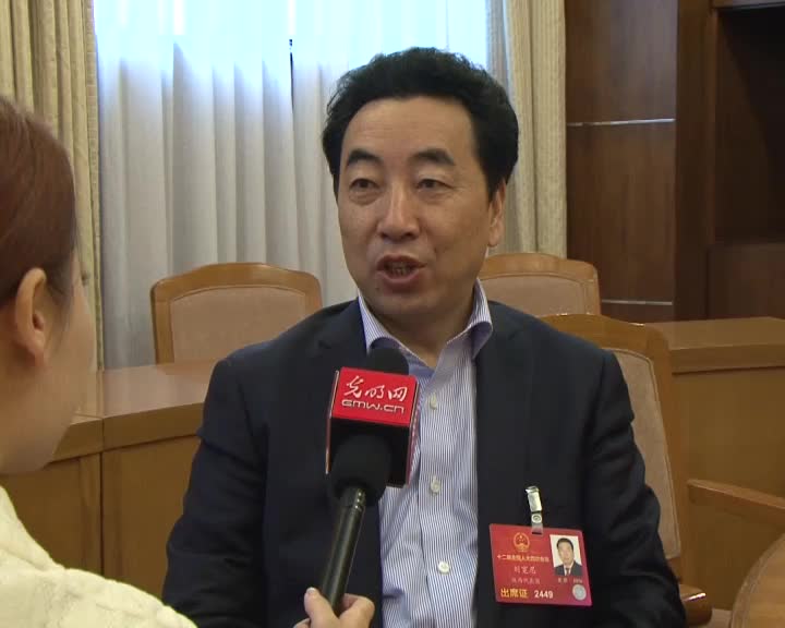 刘宽忍代表：要用项目制推动艺术精品生产