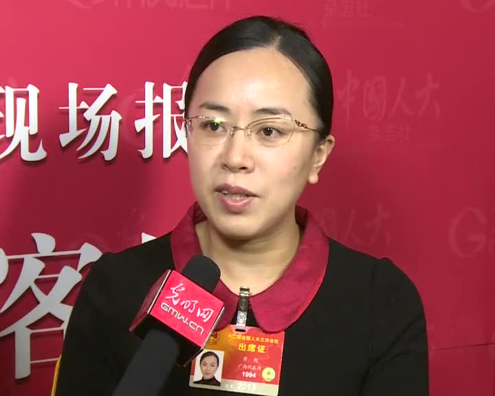 黄超代表：修订《拍卖法》规范网络拍卖行为