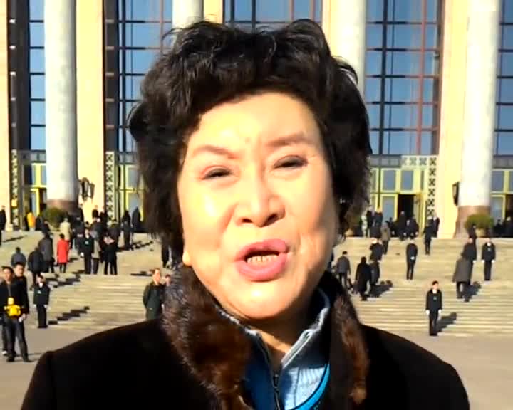 刘兰芳委员：评书人才培养期待国家支持