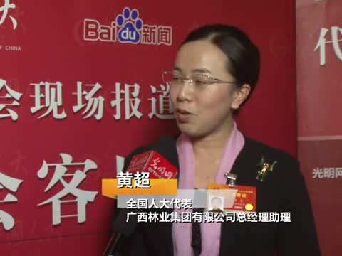 黄超代表：网络拍卖需及时纳入法治