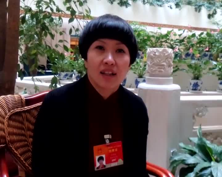 刘希娅代表：优秀传统文化如何进校园