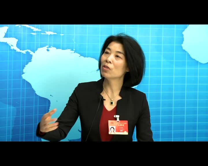 袁利群代表：建议国家加大汇率市场化力度