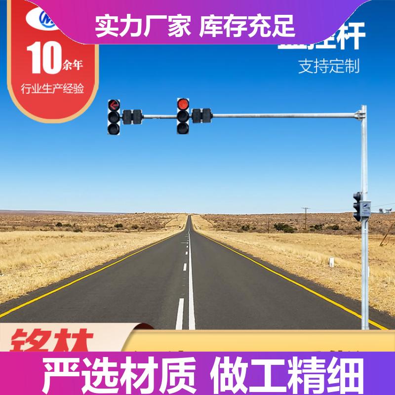  高速公路道路设施 耐高温 居民小区 烤漆 监控杆 支持定制 铭林