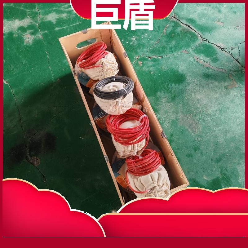 锌阳极长效硫酸铜参比电极 输气管道用 极化探头 储罐用 测试准确 巨盾