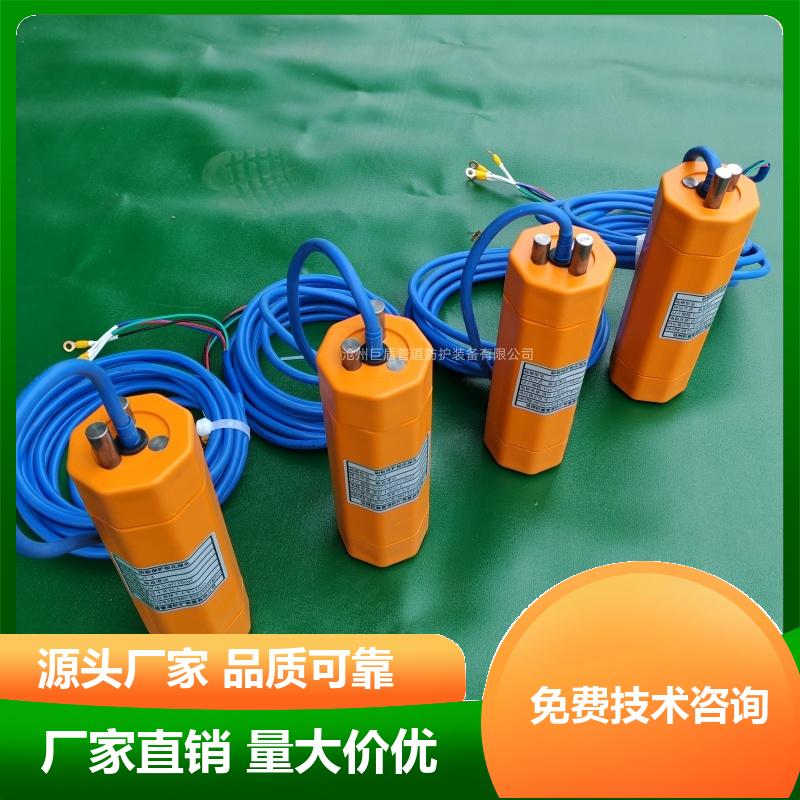 支持定制 巨盾极化探头 阴极保护 高精度 测量准确 免费技术咨询