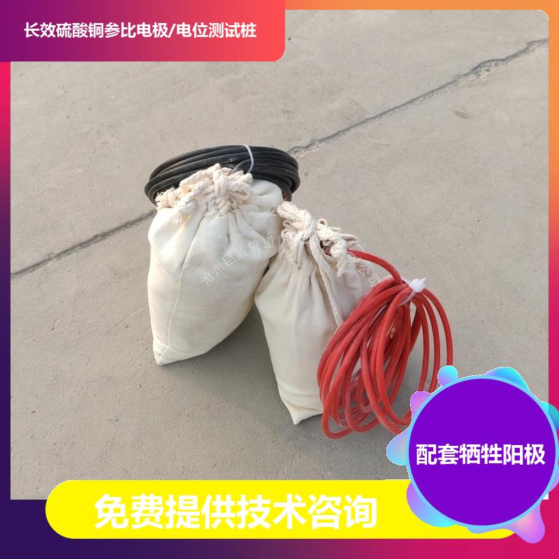 埋地型 极化探头 锌阳极包长效硫酸铜参比电极 带电缆 测试准确 巨盾