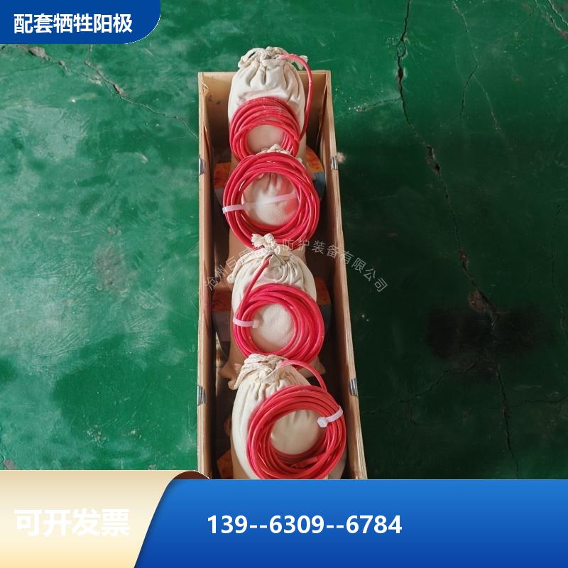 带电缆长效硫酸铜参比电极 输气管道用 极化探头 埋地型 测量准确 巨盾