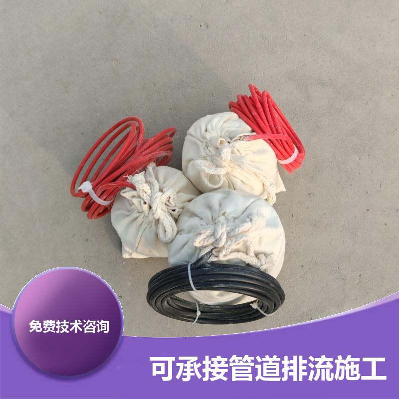 带电缆 埋地型 锌合金牺牲阳极 带填包料便携参比电极 测量准确 巨盾