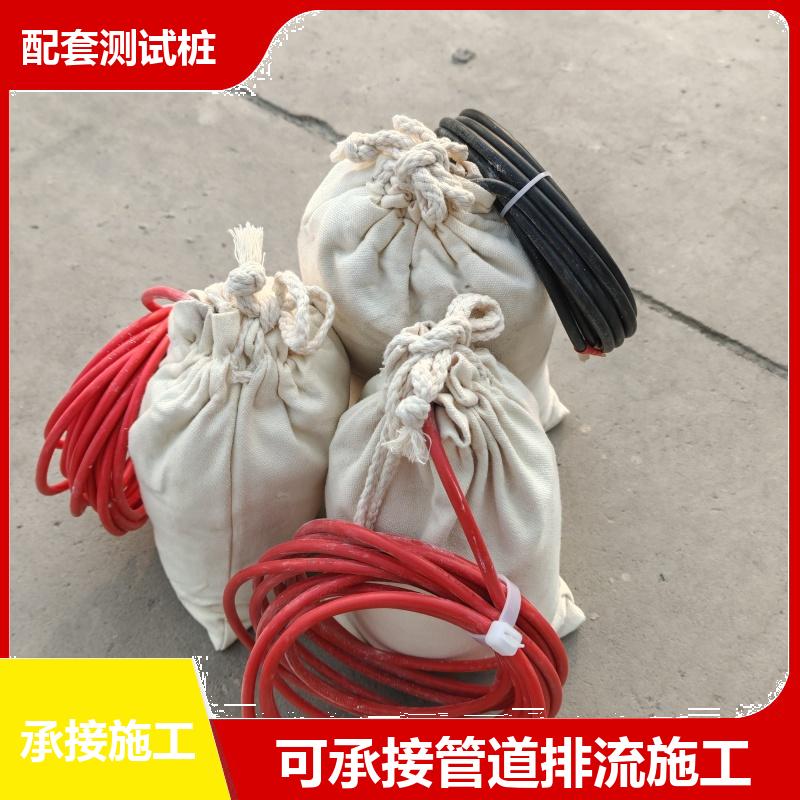 阴极保护装置 埋地型便携参比电极 镁合金牺牲阳极 测量准确 巨盾