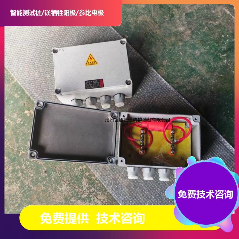 2/2.5/3米防爆测试桩 远传远控 108*4*3000 镁阳极 运行稳定 巨盾