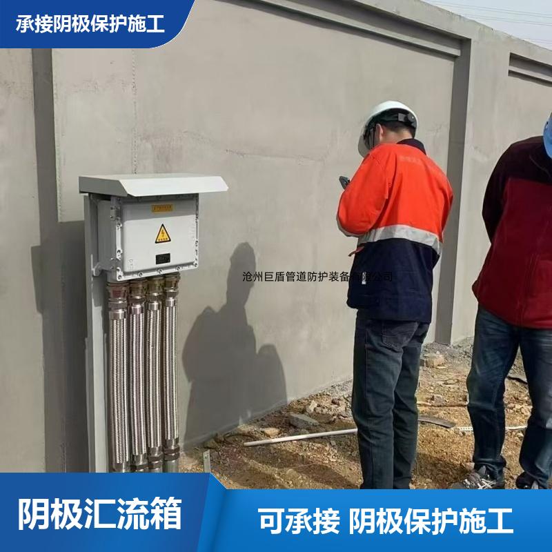 不锈钢测试桩 阴极保护装置 锌阳极防爆接线箱 远传远控 运行稳定 巨盾