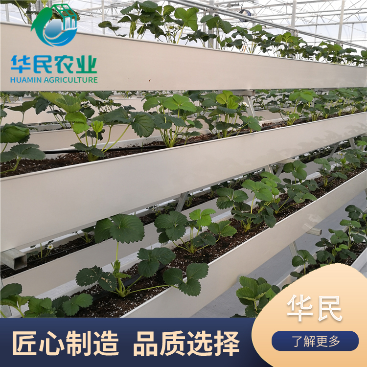 Vegetable planting trough processing soilless cultivation facilities with beautiful appearance can be customized according to needs