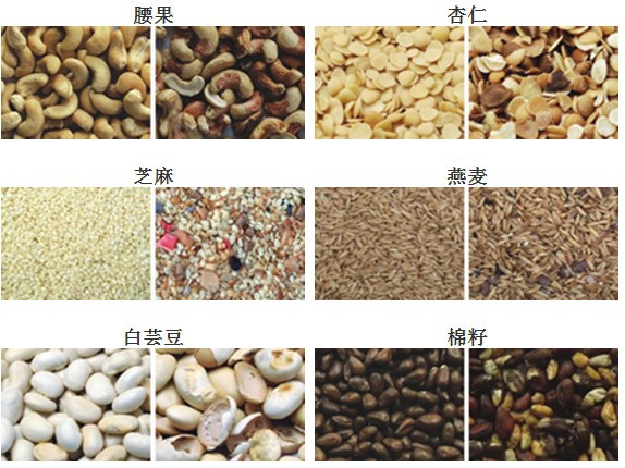 Traditional Chinese medicine slices color selection machine, cypress kernel color selection machine, sour jujube kernel color selection machine