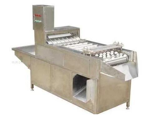 Egg steaming, peeling, and braising production line, egg water boiling, peeling, shelling, and braising production line