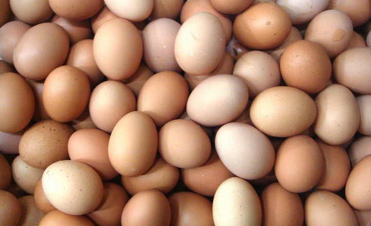 Egg steaming, peeling, and braising production line, egg water boiling, peeling, shelling, and braising production line