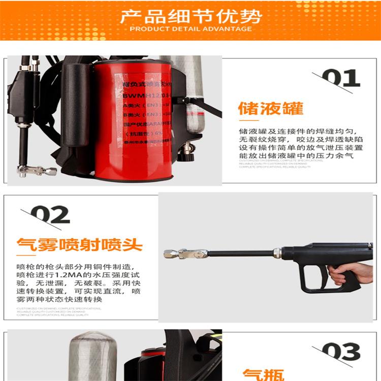 天恒博达背负式细水雾灭火水枪 细水灭火器 脉冲森林消防灭火机质量保证