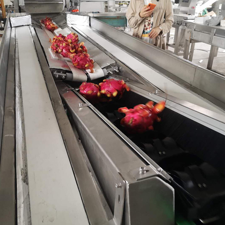 Intelligent fruit sorting machine with multiple specifications available, intelligent operation, winter jujube and plum fruit sorting machine