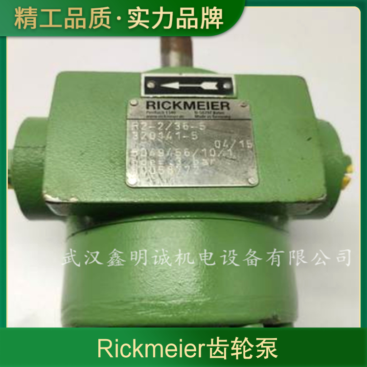 德国rickmeier齿轮泵 306不锈钢 产品特性经济 化工行业适用