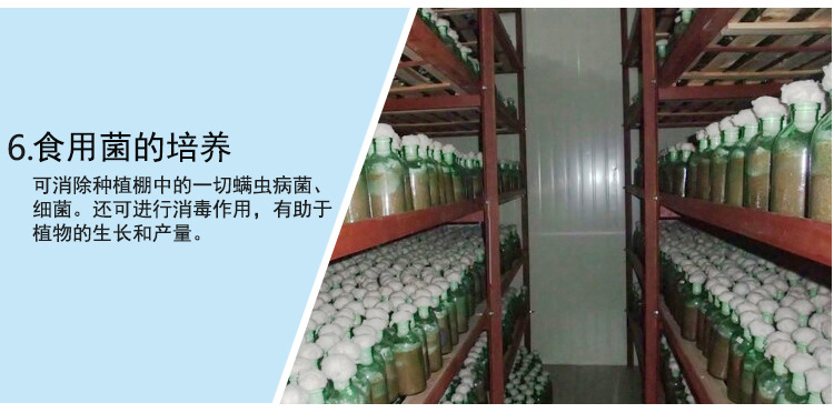 Customized 20g oxygen source ozone water generator, vegetable and fruit bottle cap cleaning ozone water machine