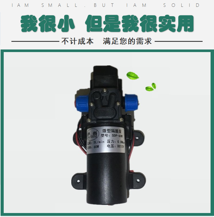 High voltage electric car wash water pump SDP-60W12V24V80W self priming DC under pressure