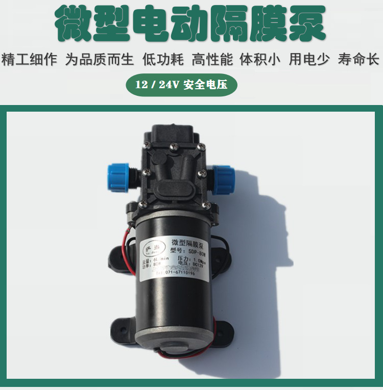 High voltage electric car wash water pump SDP-60W12V24V80W self priming DC under pressure