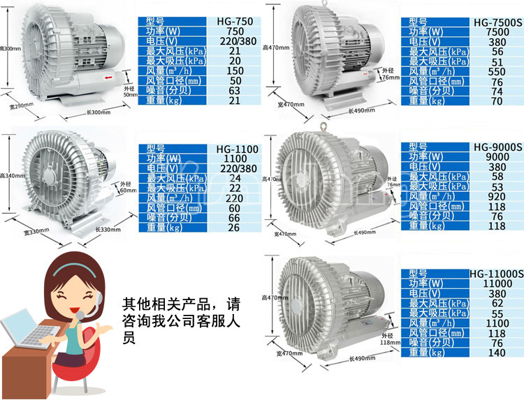 High pressure vortex fan, vortex air pump, industrial axial flow fan, vortex fan, oxygenation pump, silent high-pressure blower