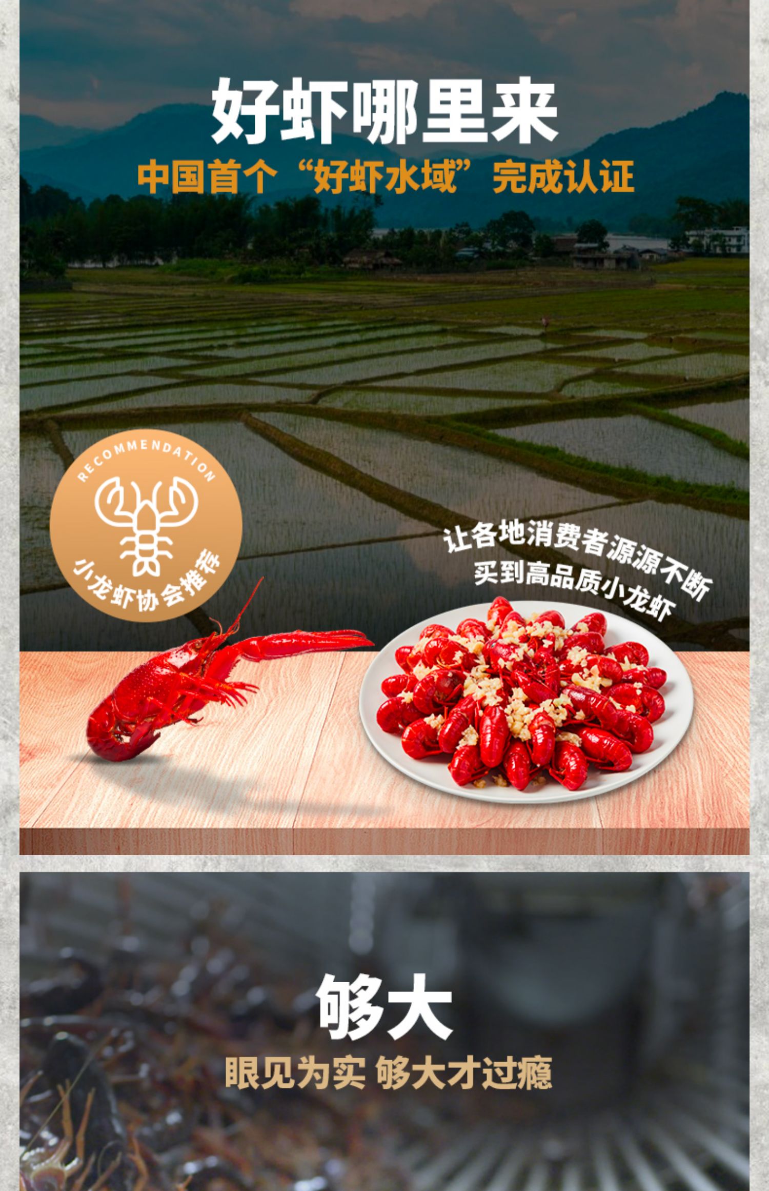 Baolong Aquatic Products Production Good Goods NK2 Xinliangji Crayfish 600g * 3 Garlic Spicy 18-25 pieces SF Express Package