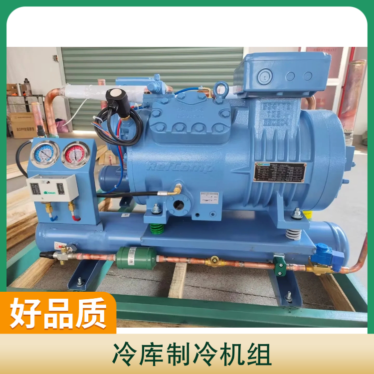 Borun Refrigeration Compressor Unit Refrigeration Equipment Freshness Preservation Quick Freezer 15 Piece Cold Storage Refrigeration Unit