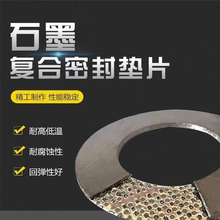 Hongsheng Shaped Graphite Composite Seal Shaped Gaskets Cylinder Gaskets Metal Flange Gaskets Customized 304RSB 20606