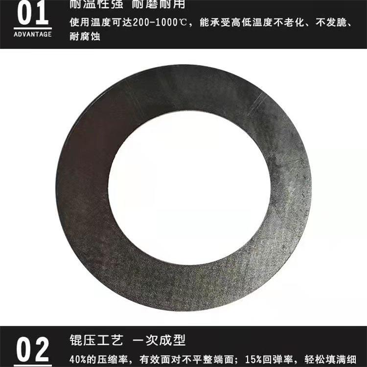 Hongsheng Shaped Graphite Composite Seal Shaped Gaskets Cylinder Gaskets Metal Flange Gaskets Customized 304RSB 20606