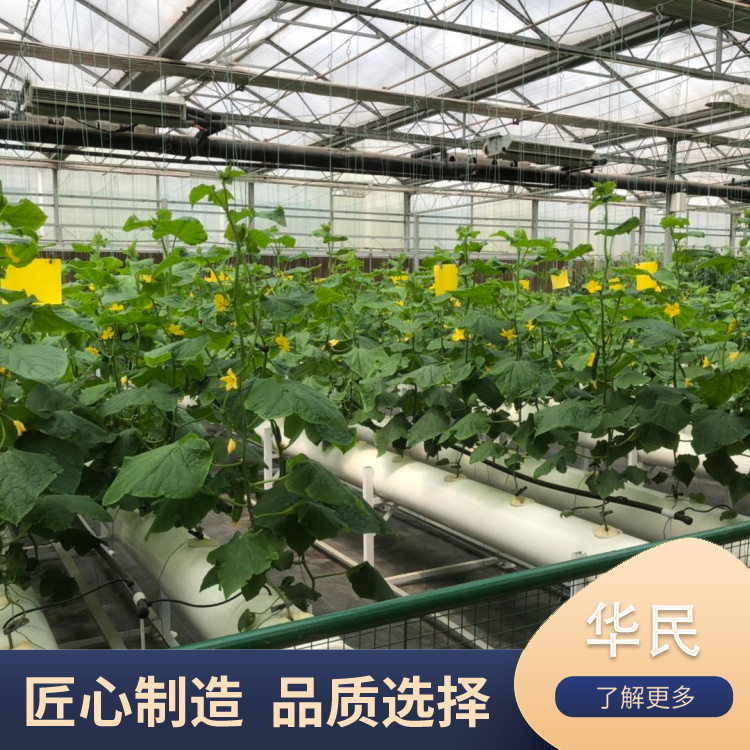 Hydroponic Vegetable Soilless Cultivation Technology Transparent Intelligent Greenhouse Huamin Agriculture