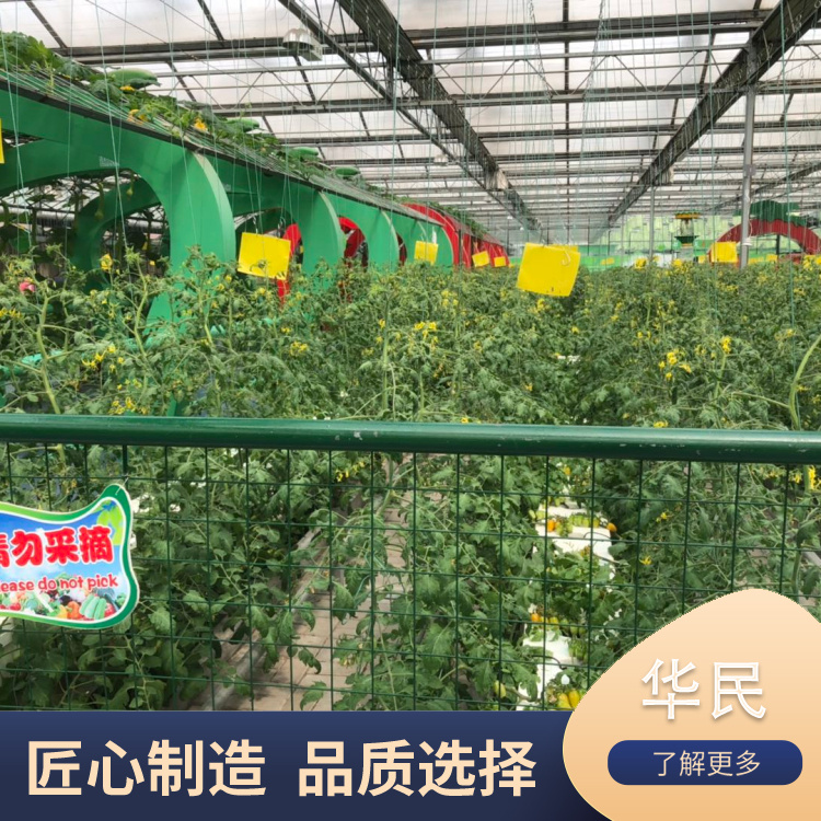 Hydroponic Vegetable Soilless Cultivation Technology Transparent Intelligent Greenhouse Huamin Agriculture