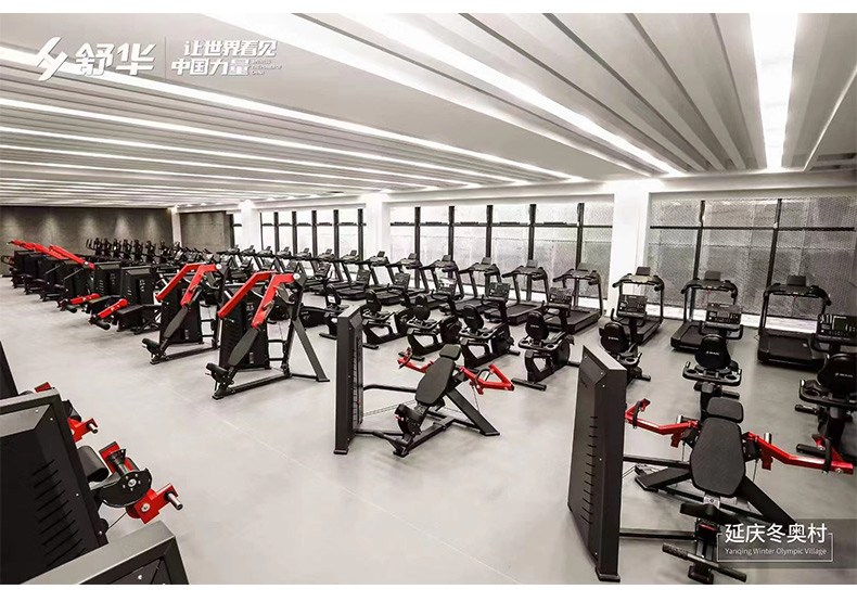 Shuhua Gym Equipment Enterprise and Public Institution Employee Activity Room Fitness Equipment Treadmill Procurement Group Purchase