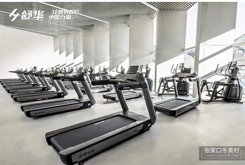 Shuhua Gym Equipment Enterprise and Public Institution Employee Activity Room Fitness Equipment Treadmill Procurement Group Purchase