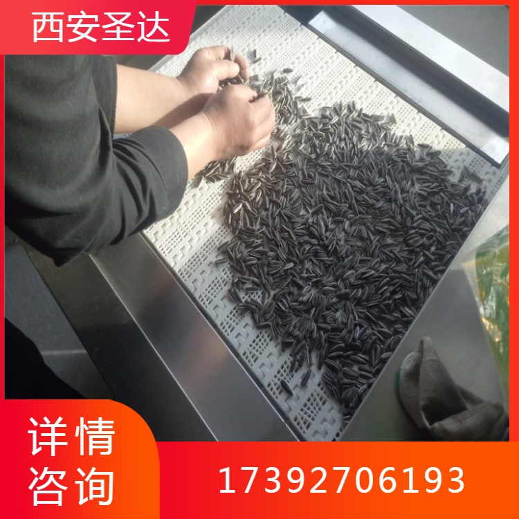 微波瓜子熟化机 隧道式烘干杀菌一体机 支持定制生产