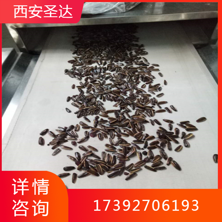 瓜子烘干设备 微波熟化干燥设备 输送带式产量大