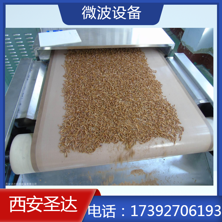黄粉虫烘干机 微波干燥速度快 即开即用稳定性好