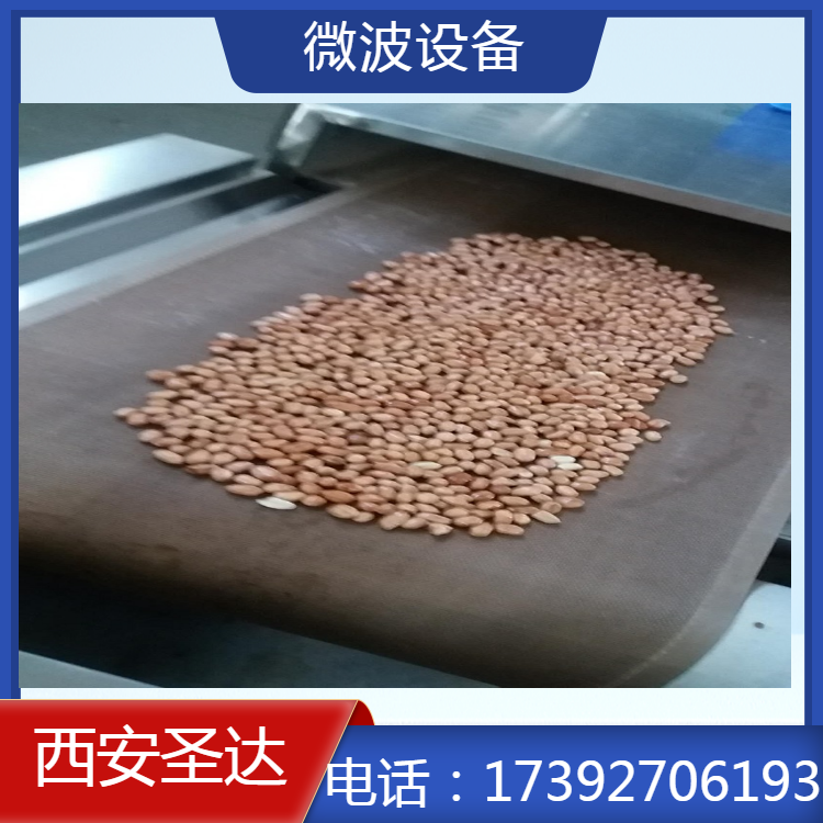 微波花生熟化机 智能操作控温控湿 适用于坚果杂粮