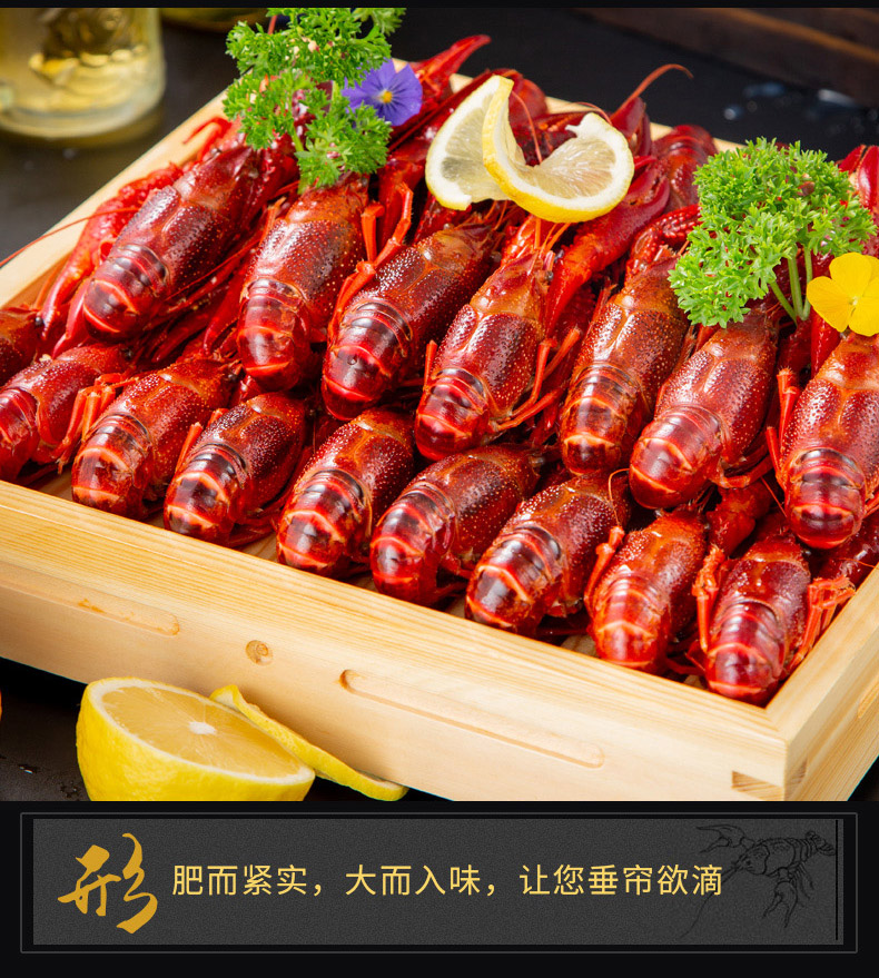 [Transparent Factory] 1.5kg6-8 Qianhong Pangpang Xuyi crawfish cooked instant fresh spicy whole shrimp