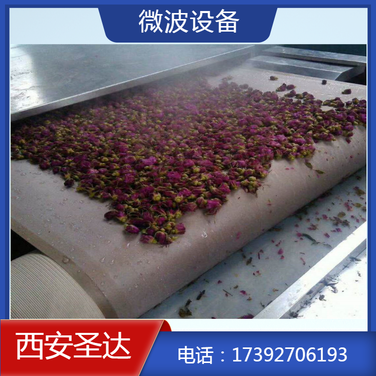 微波玫瑰杀青机 隧道式低温烘干 即开即用能耗小