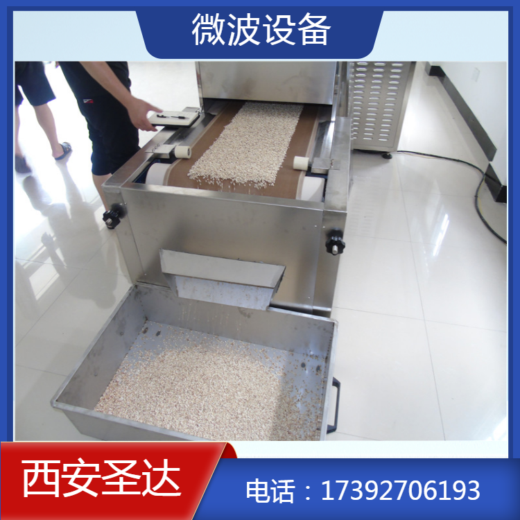 微波燕麦片熟化机 输送带式加热烘干 运行稳定速度快