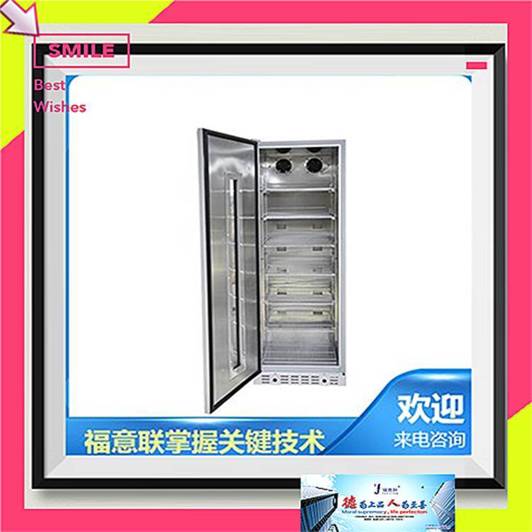 传染医院用杀菌设备 FYL-YS-151L281L431L 纸质病案用消毒柜