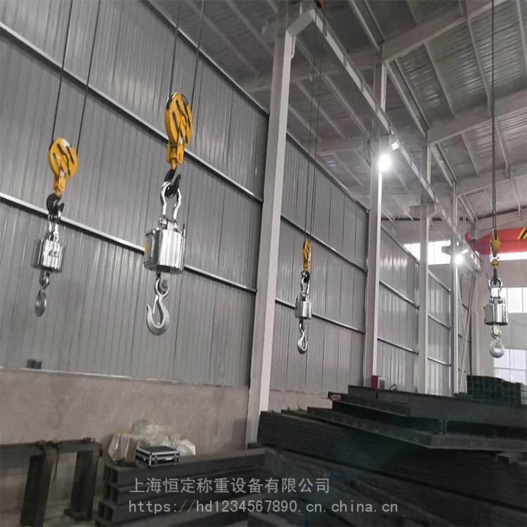 Dock weighing and hoisting double head hanging scale printing display electronic scale carrying pole weighing electronic hanging scale