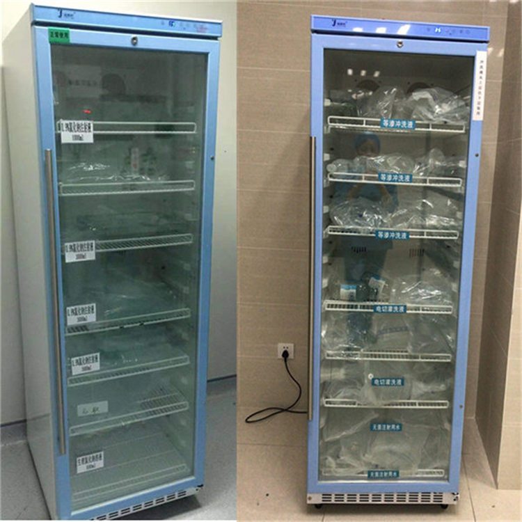 手术室FYL-YS-230L透析室用37度恒温箱提供更多的应用