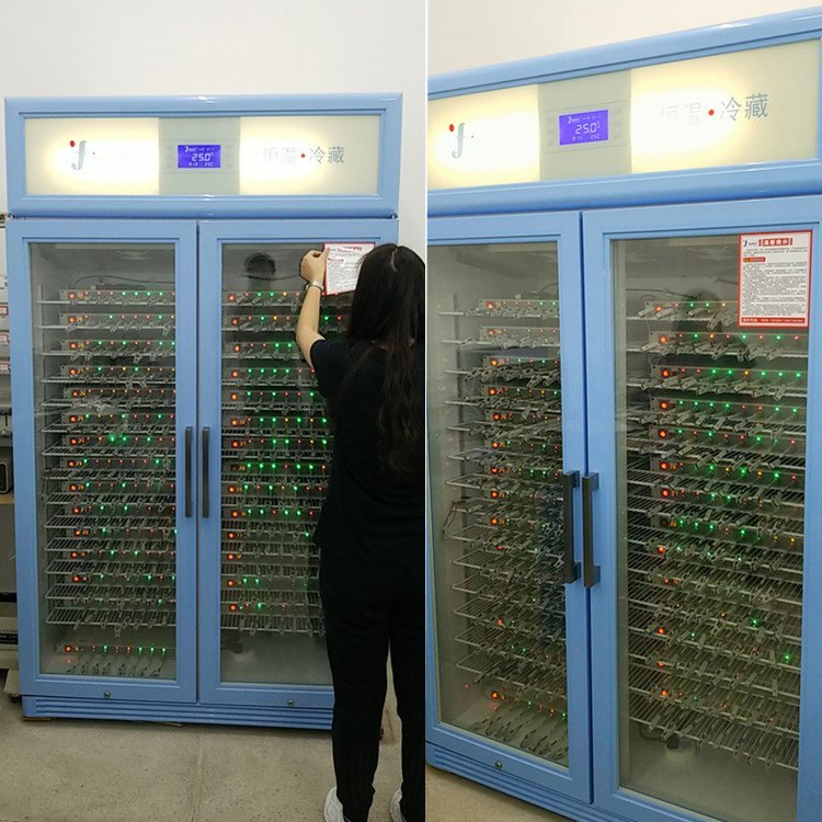 蓝电电池测试箱FYL-YS-50LL100LL 完善的售后服务