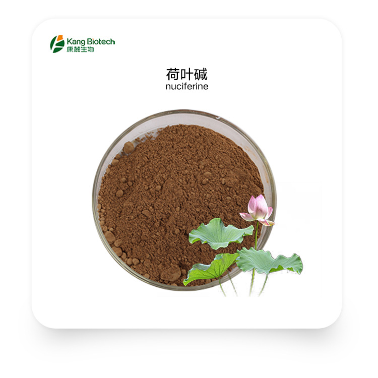 直供醇提厂家荷叶提取物1%（荷叶碱HPLC）