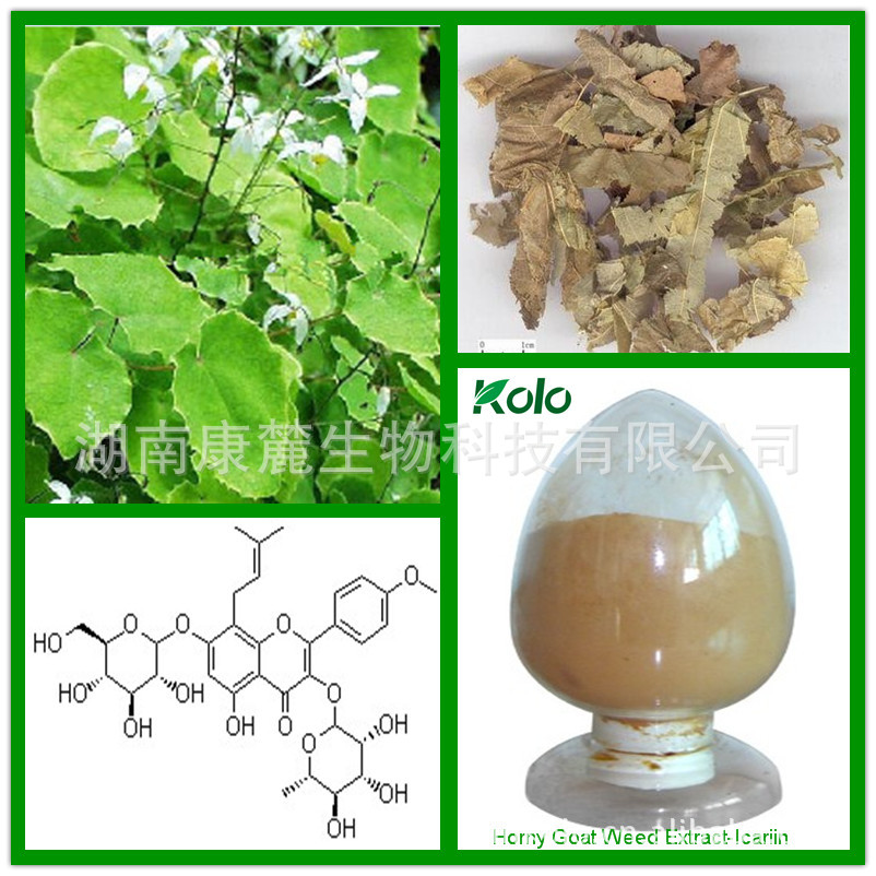淫羊藿提取物（淫羊藿甙）40%(HPLC)